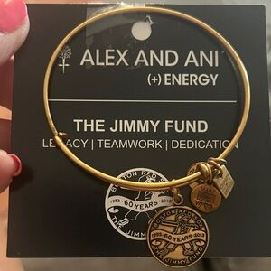 Alex and Ani Gold Jimmy Fund Bracelet